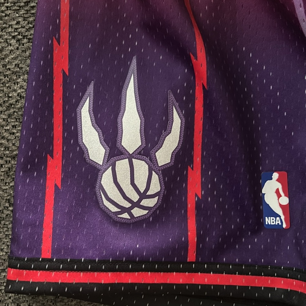 Mitchell & Ness Toronto Raptors Swingman shorts - Picture 2 of 7